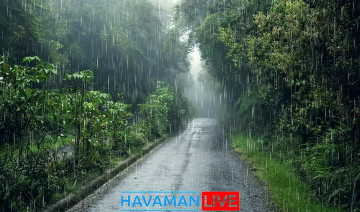 Havaman live bhavnagar tomorrow bhavnagar weather live